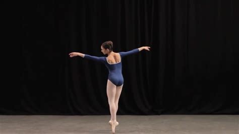 What Are the Ballet Positions: An Insight into the Dance World