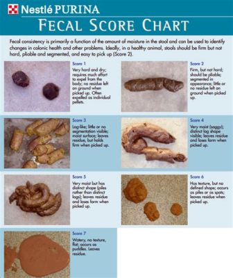 what is the average composition of fecal waste material? how does it differ between different types of animals?